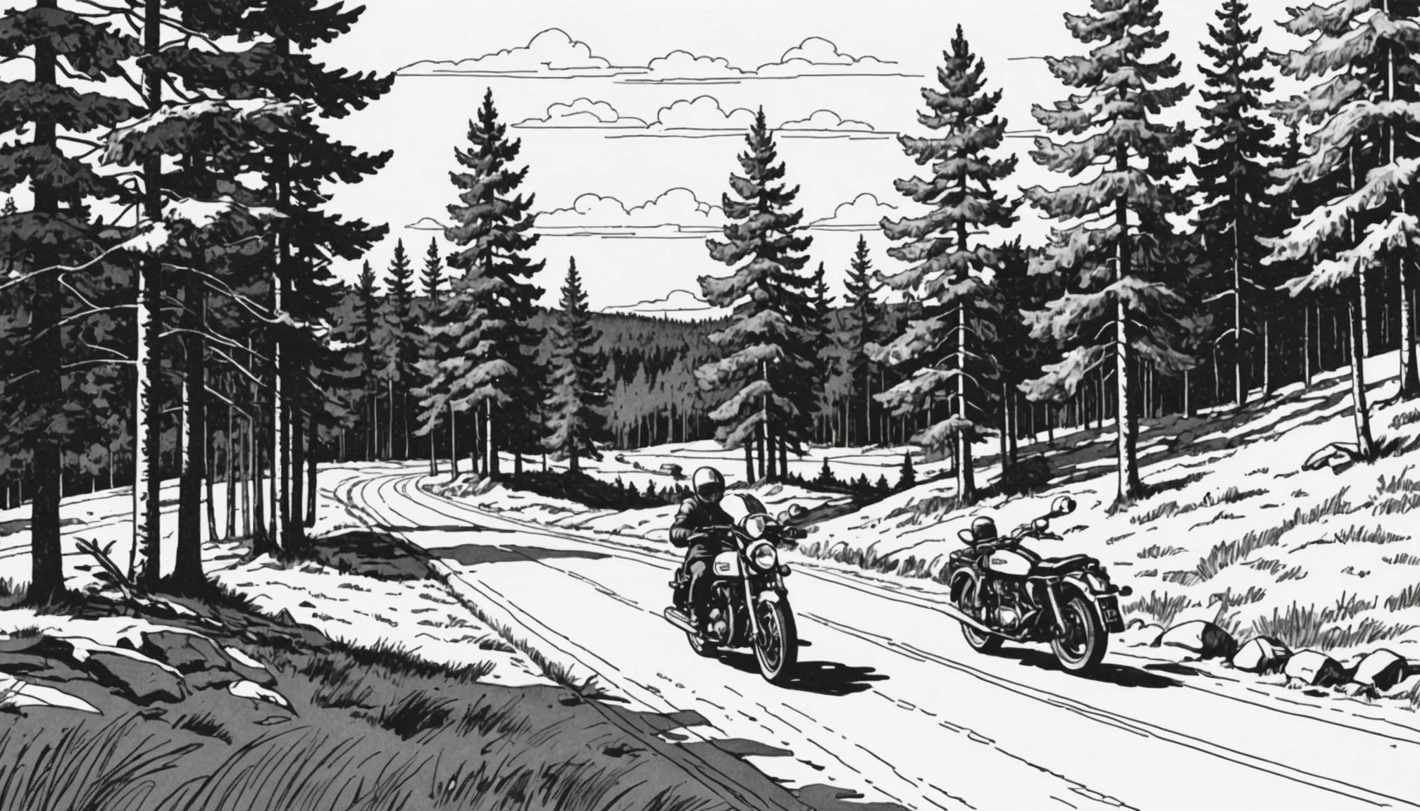 Police are investigating how the accident occurred. Archive photo.